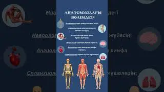 Анатомиядағы бөлімдер 🔥