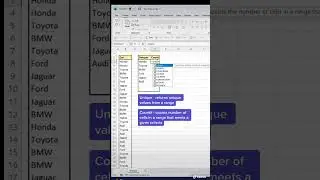 How to Count Unique data in Excel. 