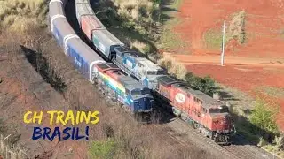 O Belíssimo Trem Azul da Suzano!