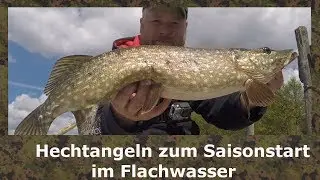 Hechtangeln im Flachwasser  (Saisonstart)