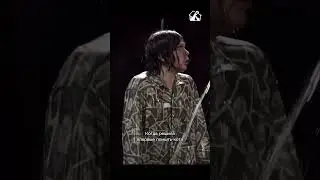 Шутки шутками, но действительно, нужно ли мыть кошку?