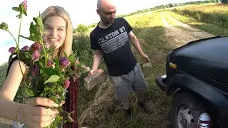 Gifts for NIVA, barbecue in a ditch