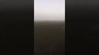 Деревенское утро