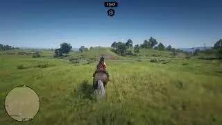 Red dead online