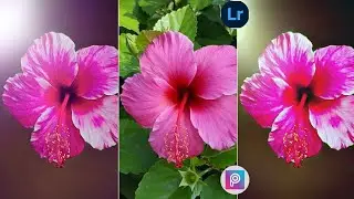|how to mobile photography  colour grading lightroom mobile tutorial |#lightroom #colorgrading