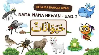 BAHASA ARAB   NAMA NAMA HEWAN-BAG.2