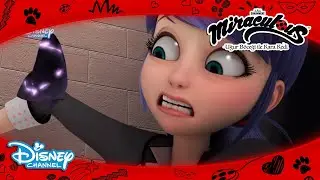 MARINETTE AKUMALANACAK MI?? 😮😱| Mucize: Uğur Böceği ile Kara Kedi | Disney Türkiye