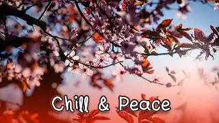 😊 Chill & Peace - Breathing Sculptures Instrumental • Meditation Music