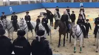 конь путина дал заднюю
