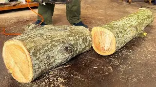 Nature's Masterpiece, Handcrafted from a 100-year-old Tree // Unique Aged Tree Trunk Coffee Table