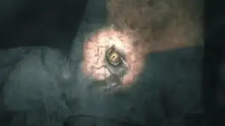 Darkwood | A Shadow Disintegrating In Light