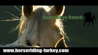 The Great Cappadocian Ride 2019 : the movie