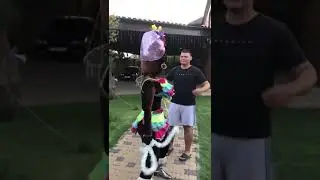 весёлый сюрприз на любой праздник