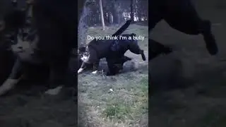 #рек