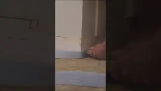 🤔 How to Pour self leveler 