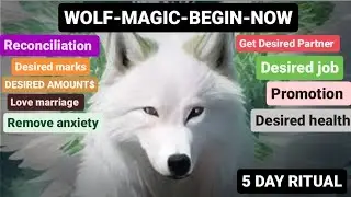 Wolf-Magic-Begin-Now 5 Day Ritual for magical results|हिन्दी मे|