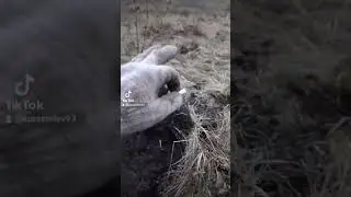 #хорошиеуголки#насоснаястанция