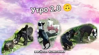 Утро 2.0 🙃