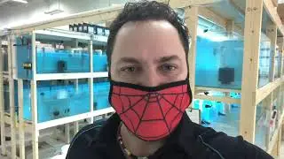Setting up an Aquarium Store.  Welcome to the new 