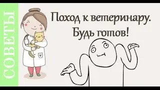 Прием ветеринара, что спросят на приеме? Советы ветеринара