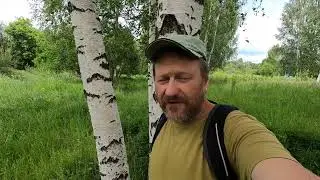 Кострище человеков и лекарственные растения на лугах России