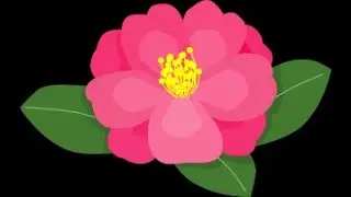 Sazanka