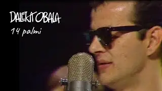 DALEKA OBALA- 14 PALMI