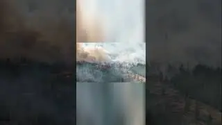 Как Лесные пожары Убивают водителей? 