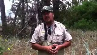 Kent Island Restoration