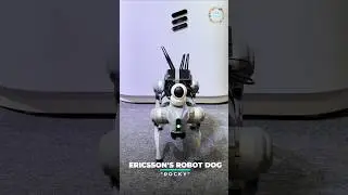 🔸Ericsson's Robot Dog "Rocky" in action at IMC 2024🔸 #imc #imc2024 #ericsson