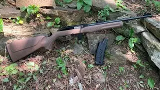 Rossi rs22 $116 rifle!