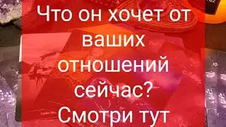 Заказать личный расклад можно через вотсап +79779062887 не звонить #таро #гадание #рек #shorts