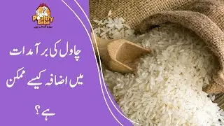 How  to increase the rice exports? - چاول کی برآمدات میں اضافہ کیسے ممکن ہے؟
