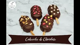 Chocolate Cakesicles (Popsicles) | Quick and Easy Recipes | Utilization Kitchen