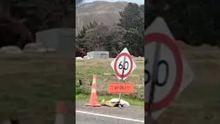 flooding Napier New Zealand
