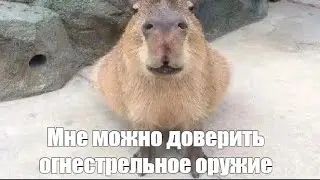 Уверяю вас, мне можно доверить огнестрельное оружие.