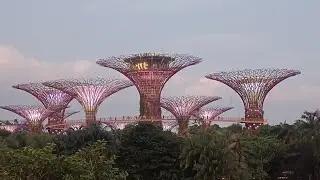 GALA SA GARDENS BY THE BAY