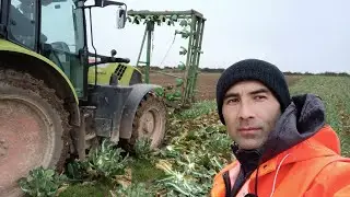 Англия работа жумыс иш 