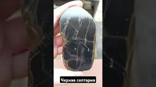 Черная септария