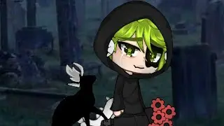 – if i die, i will come back as a cat [meme]