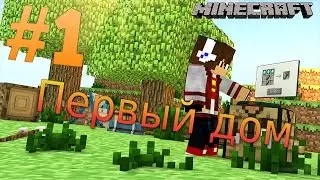 Minecraft #1 Первый дом