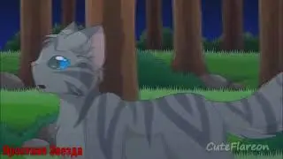 Коты - Воители Остролистая - Время