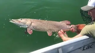 Bondy Baits Catch em!