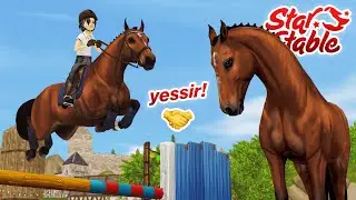 Star Stable - Buying the NEW Belgian Warmblood Horse + NEW CODE!