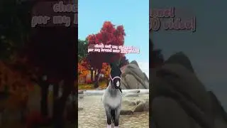 ♡ star stable: my *NEW* ponies! (showcase) ♡