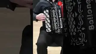 Tarantela #Shorts 4 Cały film dostępny na kanale @fonal Muzyka Akordeonowa