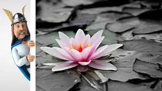 Flower , a general idea
