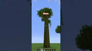 MY MINECRAFT TREE TIERLIST! 