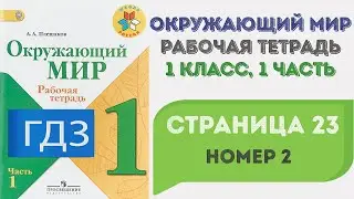 Окружающий мир. Рабочая тетрадь 1 класс 1 часть. ГДЗ стр. 23 №2