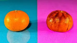 Hidden patterns inside fruit vegetables. Inside of fruits and vegetables under high temperatures.